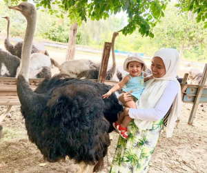 Explore the Ultimate Beach Getaway in Desaru - Johor 2023